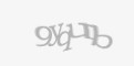Защитный код